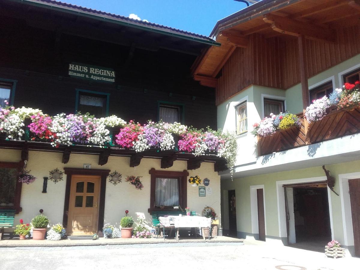Ferienhaus Regina Werfenweng Bagian luar foto