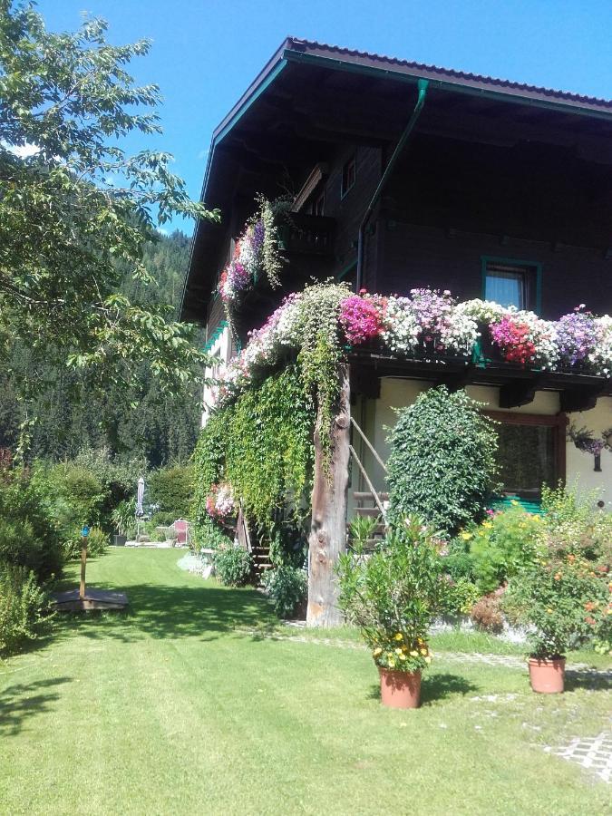 Ferienhaus Regina Werfenweng Bagian luar foto
